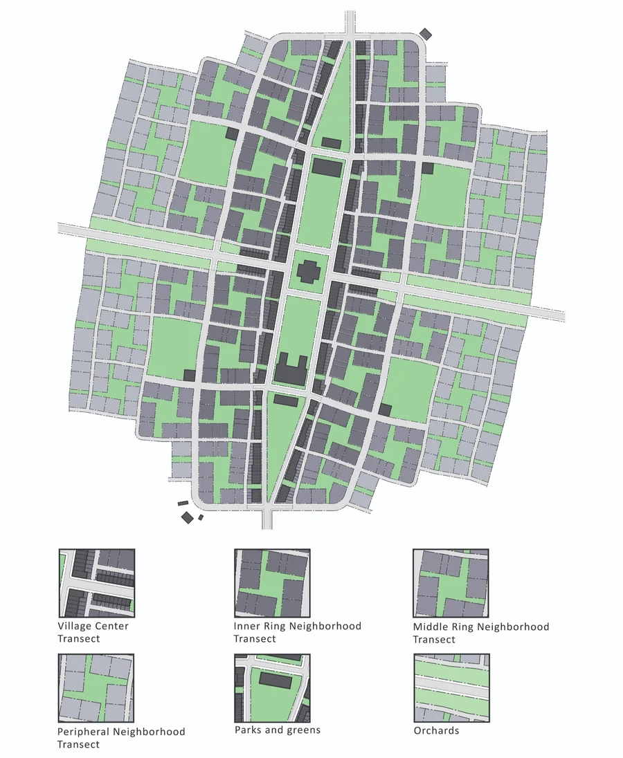 Illustrated neighborhood transects